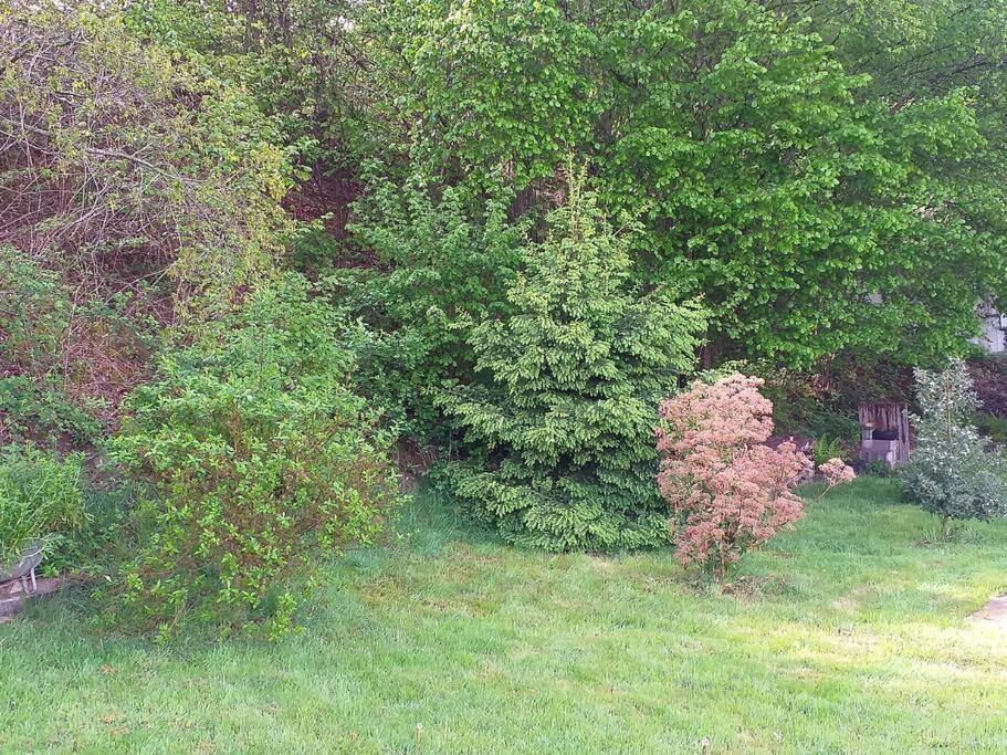 Les Gallinaces Holiday home