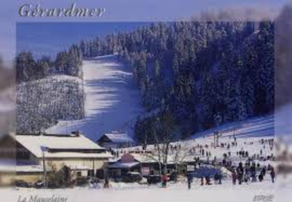 Les Gallinaces
